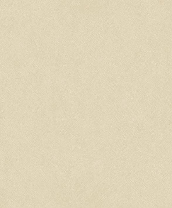 NEST COQUILLE D'OEUF NEST