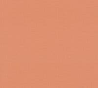 Palette