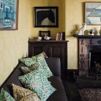 Marigold Yellow Cornubia Wallpapers