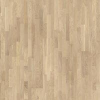 Grace | Ek White Canvas Tres