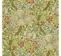 Golden Lily Pale Biscuit Morris 160th Anniversary