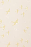 Follow the wind Wish upon your dreams