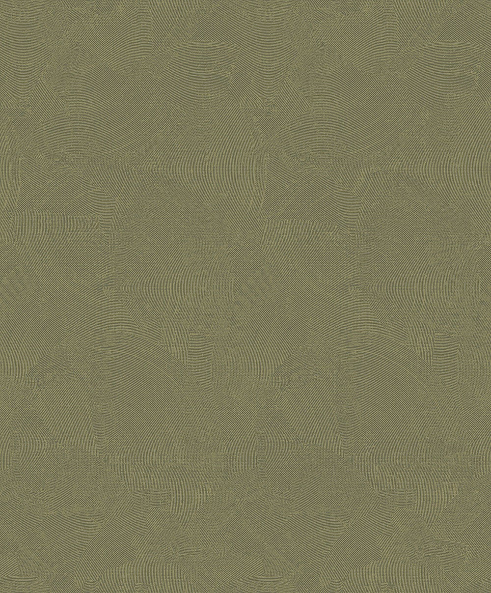 Fiona - Dendro Lines
