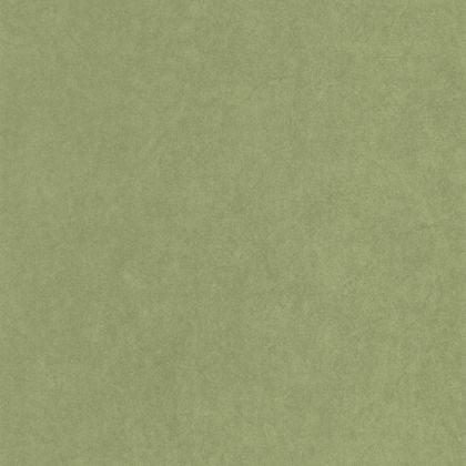 Casadeco - Cotton Touch Vert Cactus Cotton Touch