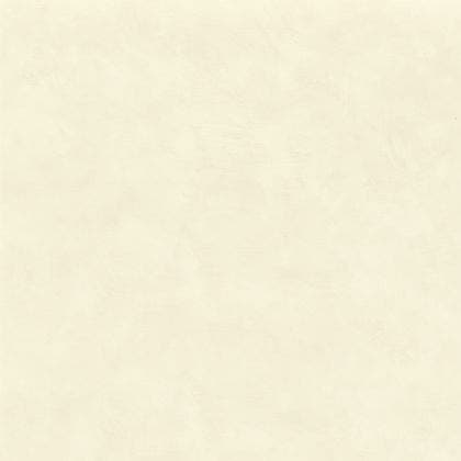 ARGILE COQUILLE LA CHAUX