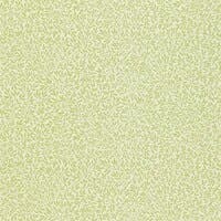 Standen Fennel Morris 160th Anniversary