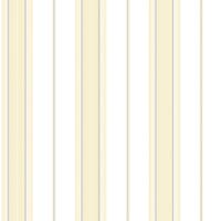 Smart Stripes 2