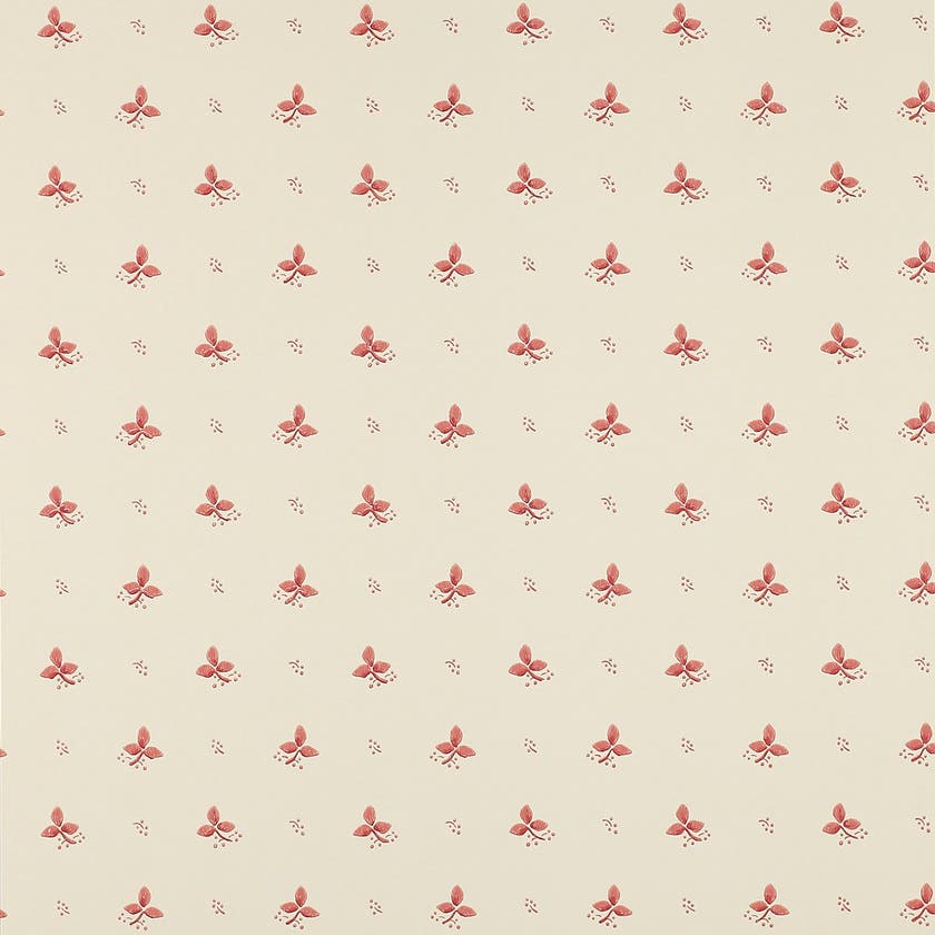 Ashling Pink