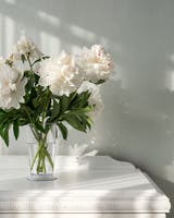 Snödroppe - Midbec Midolin/Sommaräng