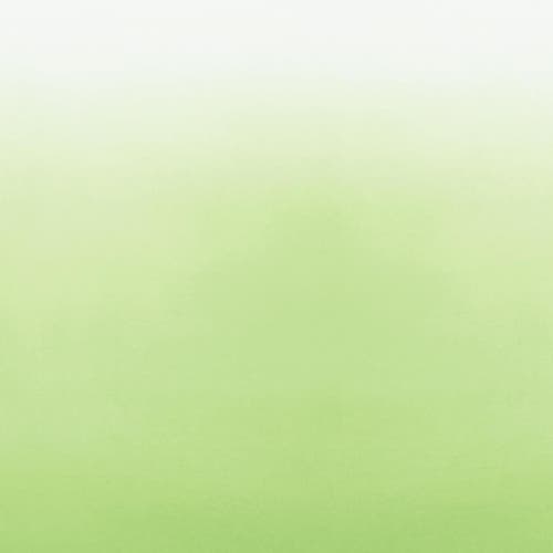 Designers Guild - Saraille The Edit... Patterns Volu