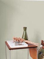 PIGMENTS GREGE ANNEES FOLLES