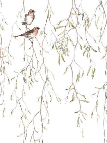 Boråstapeter - Spring birds