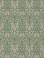 Snakeshead Forest/Thyme Morris 160th Anniversary