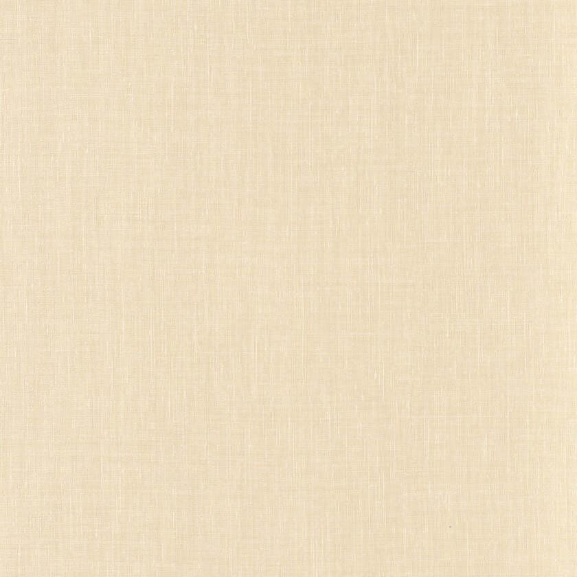 SHINOK COQUILLE LE LIN 2