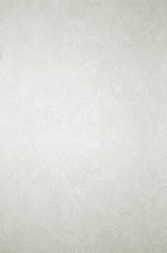 Osborne & Little - Mako Ivory