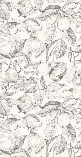 Casadeco - Lemon Tree Fusain Soliflore