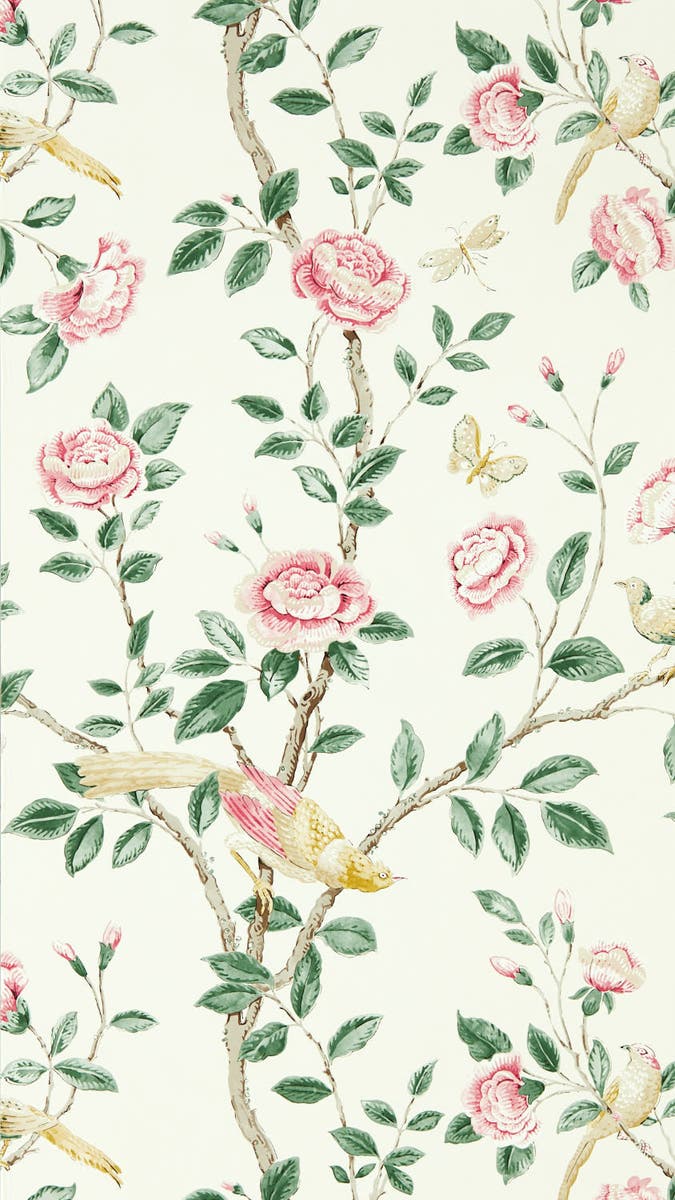 Sanderson - Andhara Rose/Cream Caspian Wallpapers