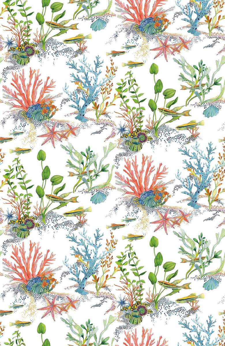 Coralline Lamorran Coralline Coral.