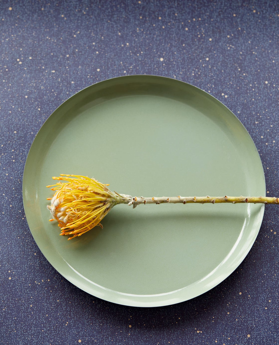 Eijffinger Intrade - Unify