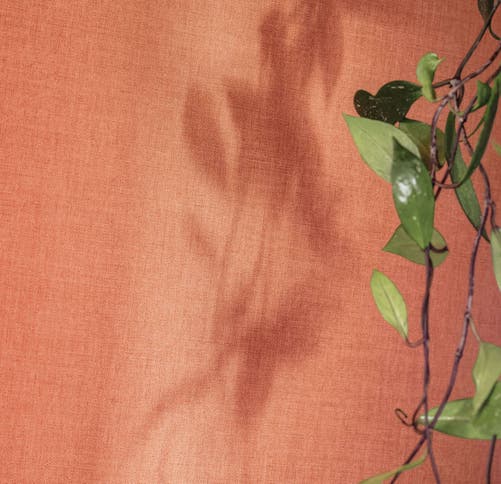 Caselio - Uni Terracotta Les Mini Mondes