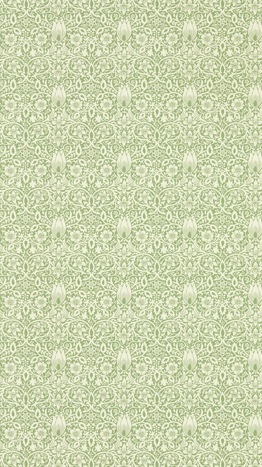 Morris & Co - Borage Leafy Arbour Emery Walkers House Wall