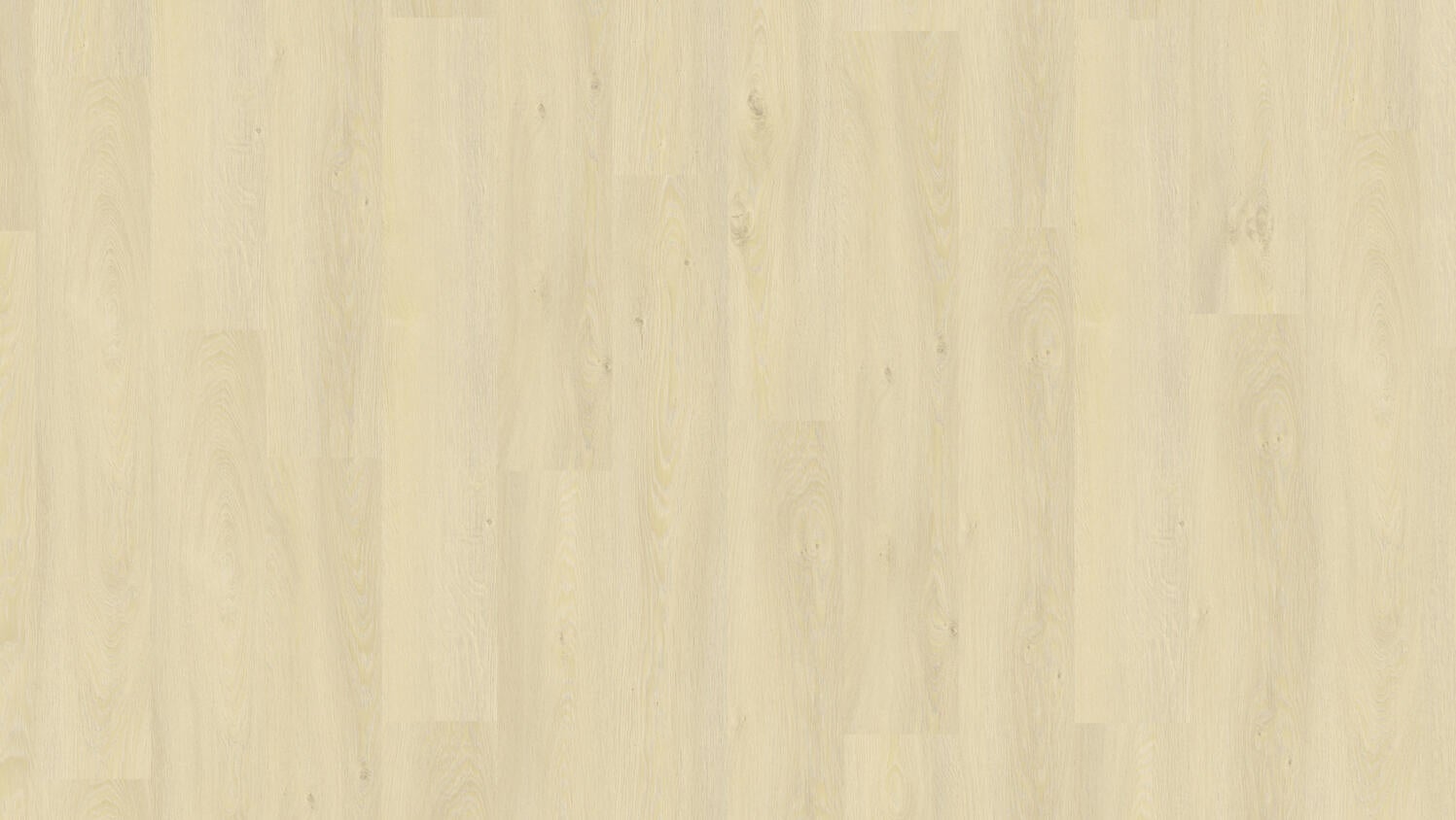 Modern Oak Light Natural