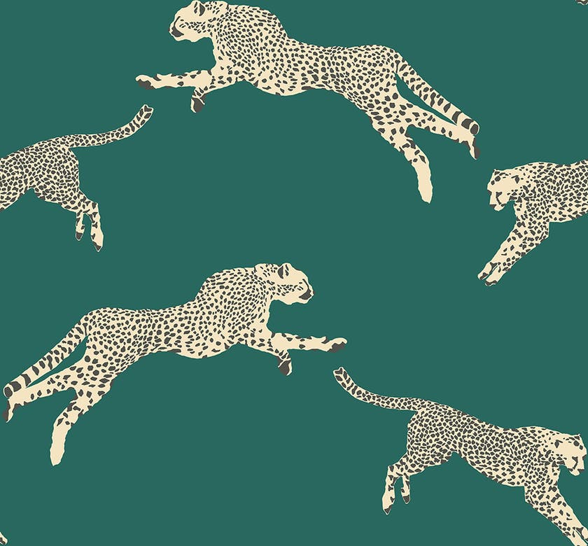 Jannelli & Volpi - Leaping Cheetah