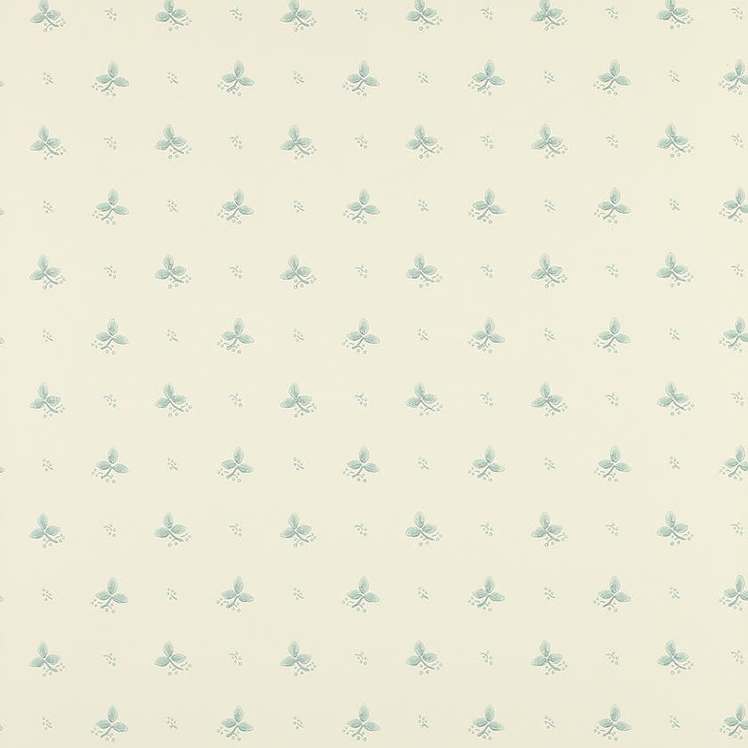 Ashling Aqua