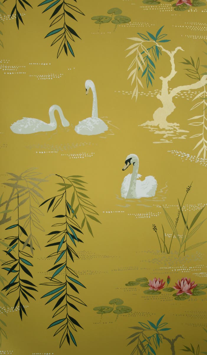 Nina Campbell - Swan Lake