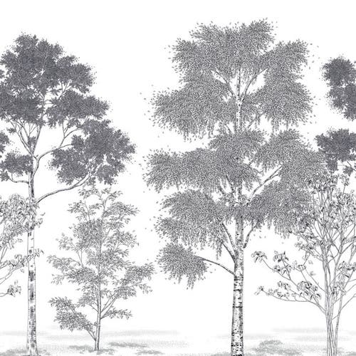 Caselio - Poesie Printaniere Noir 2 Balade