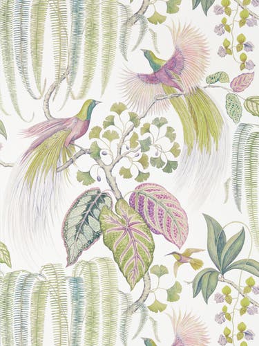 Sanderson - Bird Of Paradise Orchid Glasshouse Wallpapers