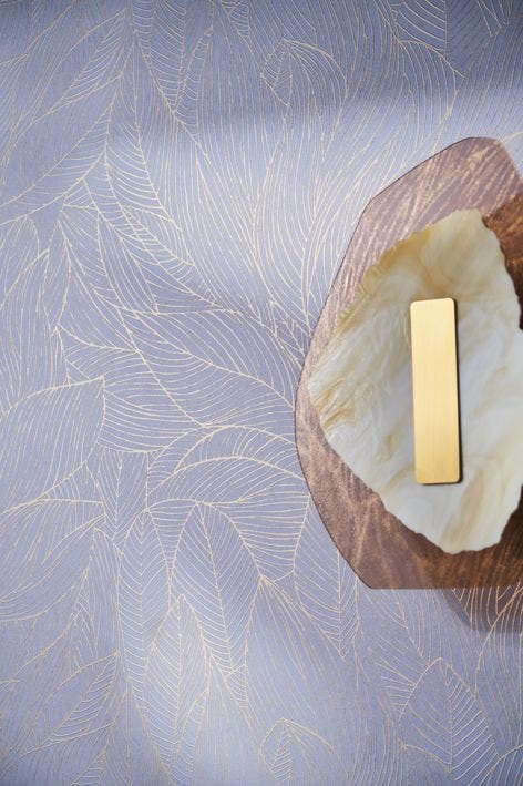 HOSTA LILAS/DORÉ JARDIN FÉLICIA