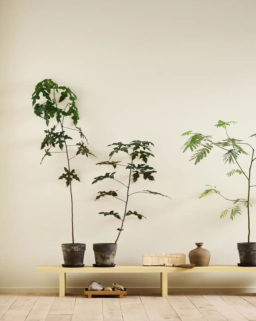 Själ 1625 - Jotun Lady Pure Color 0.75L