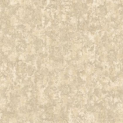 MUR ANTIQUE BEIGE ARGILE SO COLOR 5