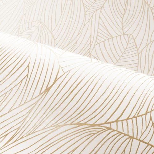 Casamance - Hosta Ivoire/Doré Jardin Félicia