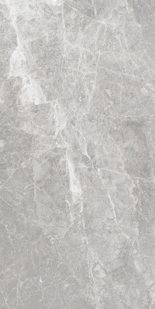 Amazing Grey polerad 60x120 såg