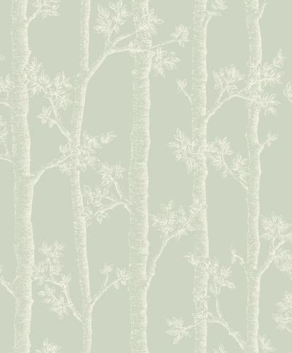 Caselio - Automne Vert D Eau Balade