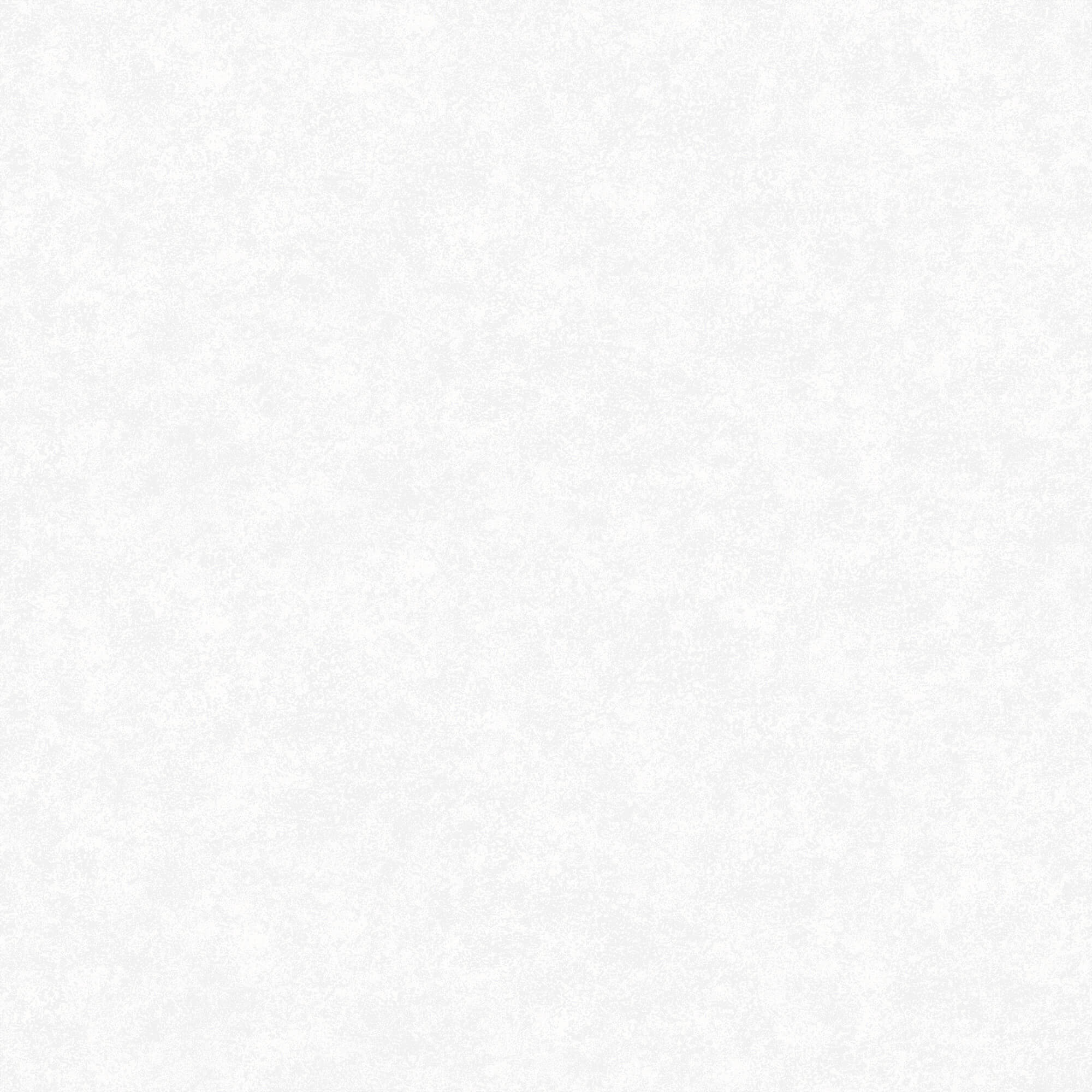 Fiona - Concrete Gloss