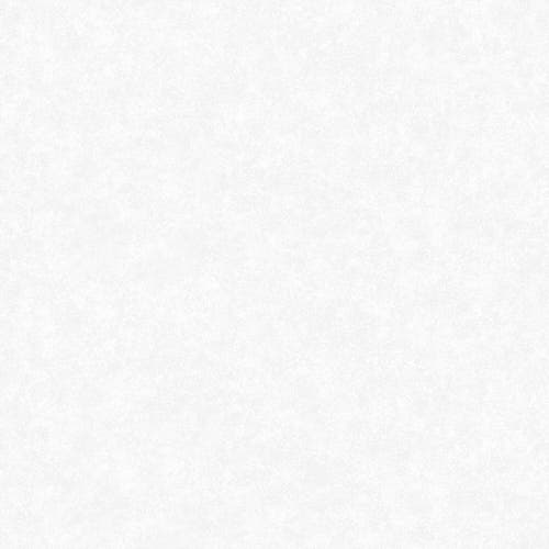 Fiona - Concrete Gloss