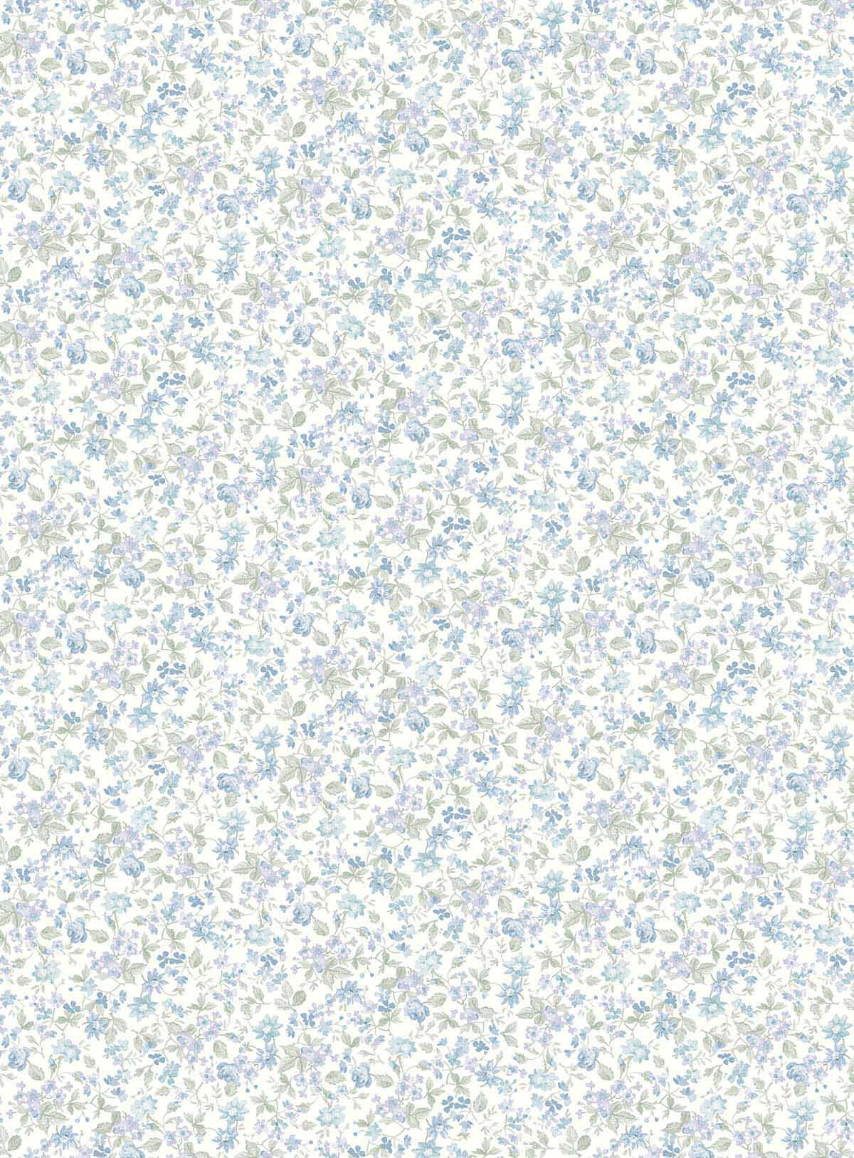 Carma - Alice & Rose