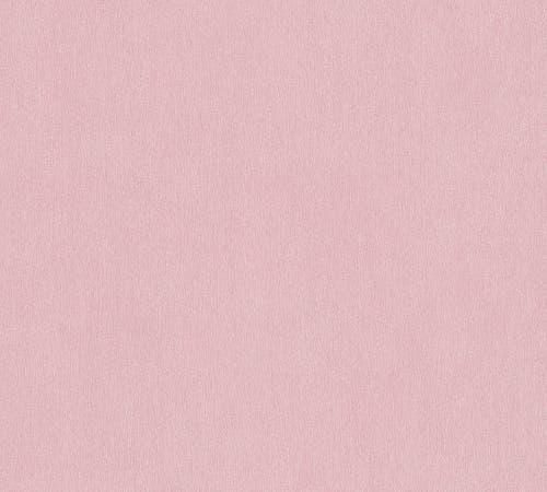 Intrade - Dream Flowery