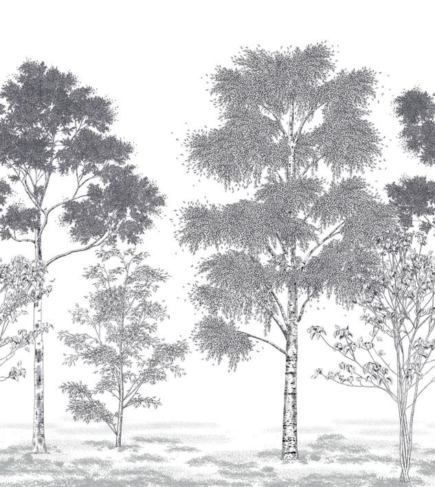 Caselio - Poesie Printaniere Noir 2 Balade