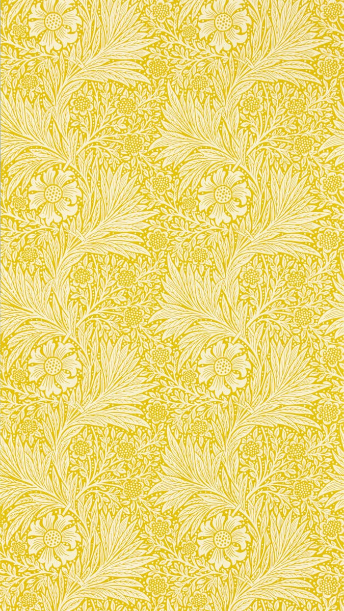Marigold Yellow Cornubia Wallpapers