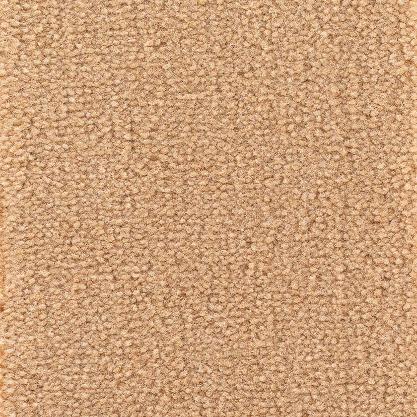 Astoria Base Camel Golvabia Textilgolv