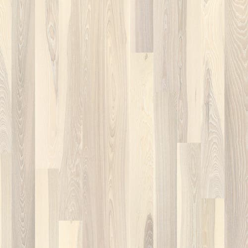 Prestige | Ask Seashell