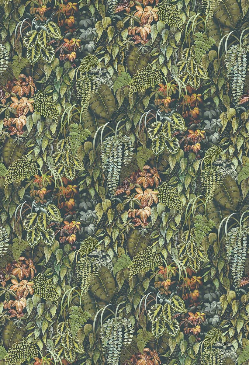Osborne & Little - Green Wall Lamorran Green Wall Olive