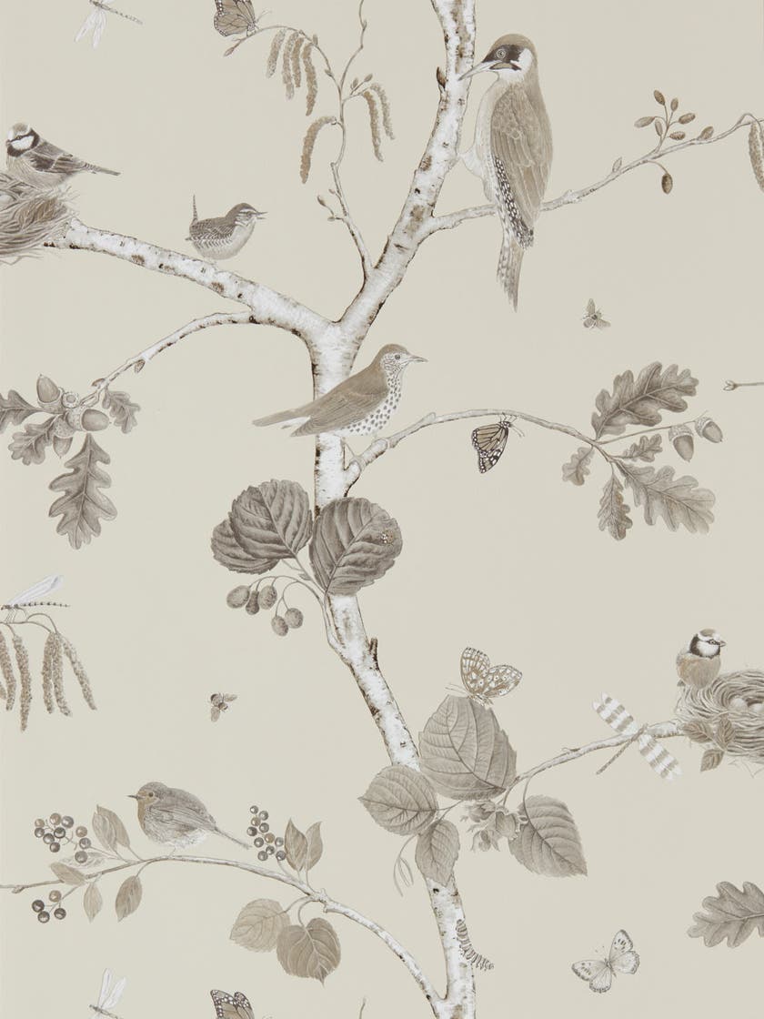 Sanderson - Woodland Chorus Sepia/Neu Country Woodland Wallcove