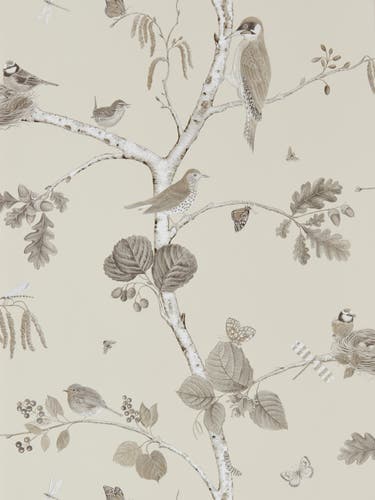 Sanderson - Woodland Chorus Sepia/Neu Country Woodland Wallcove