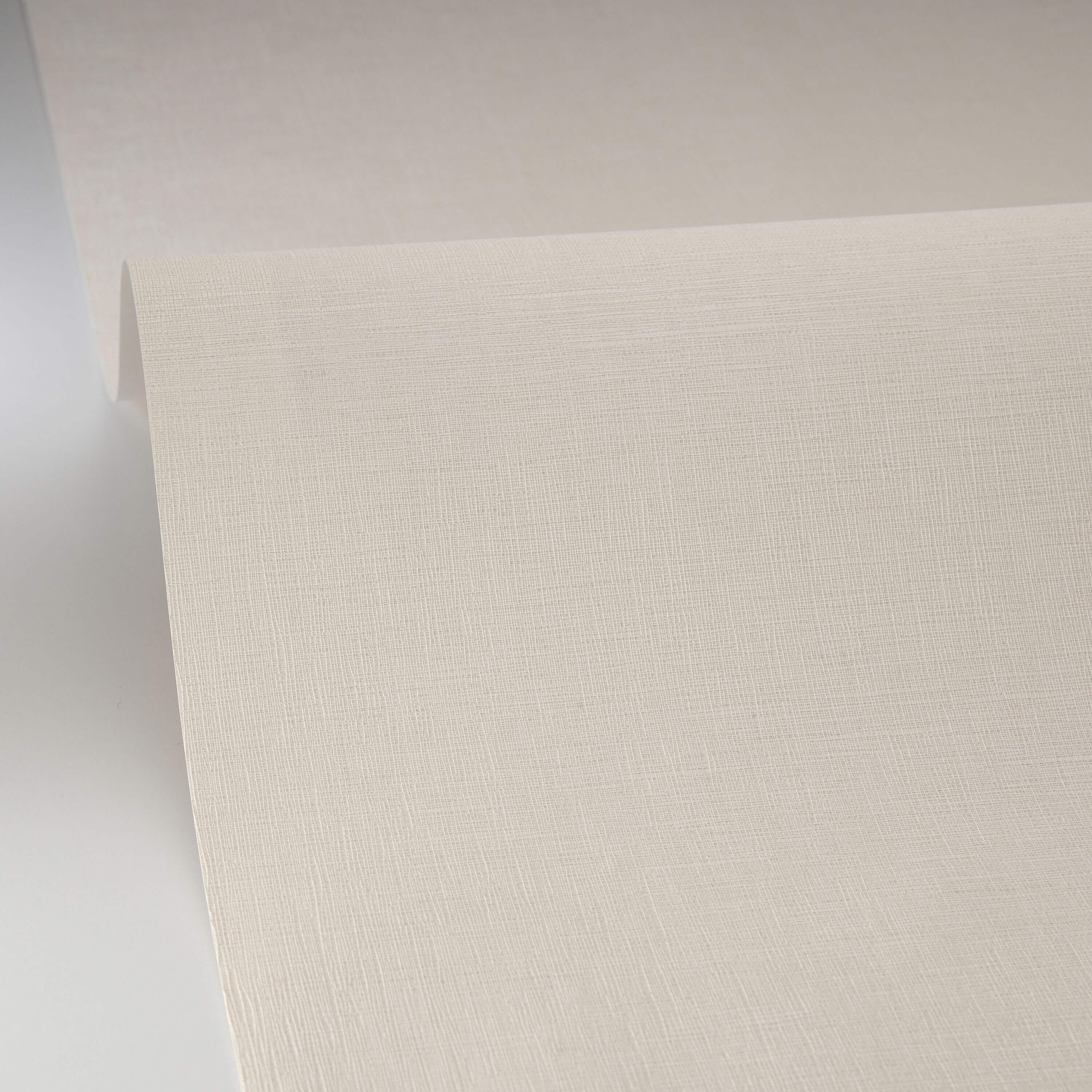 Caselio - Uni Mat Coquille D Oeuf Linen Edition 2