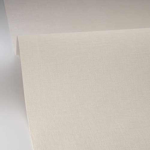 Caselio - Uni Mat Coquille D Oeuf Linen Edition 2